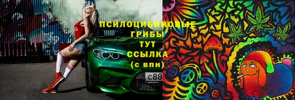 дмт Ижевск