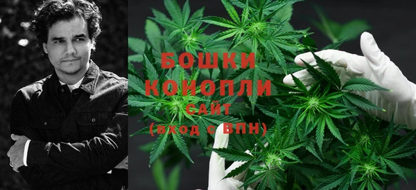 стаф Калач