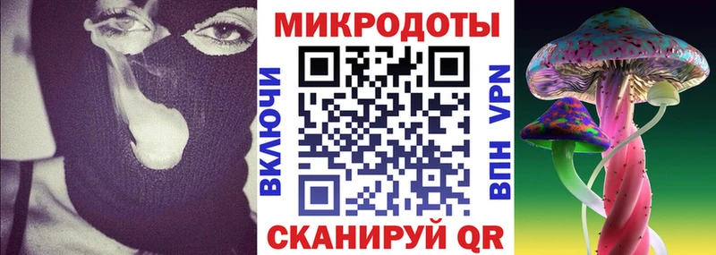 Галлюциногенные грибы Psilocybe закладки Сольвычегодск